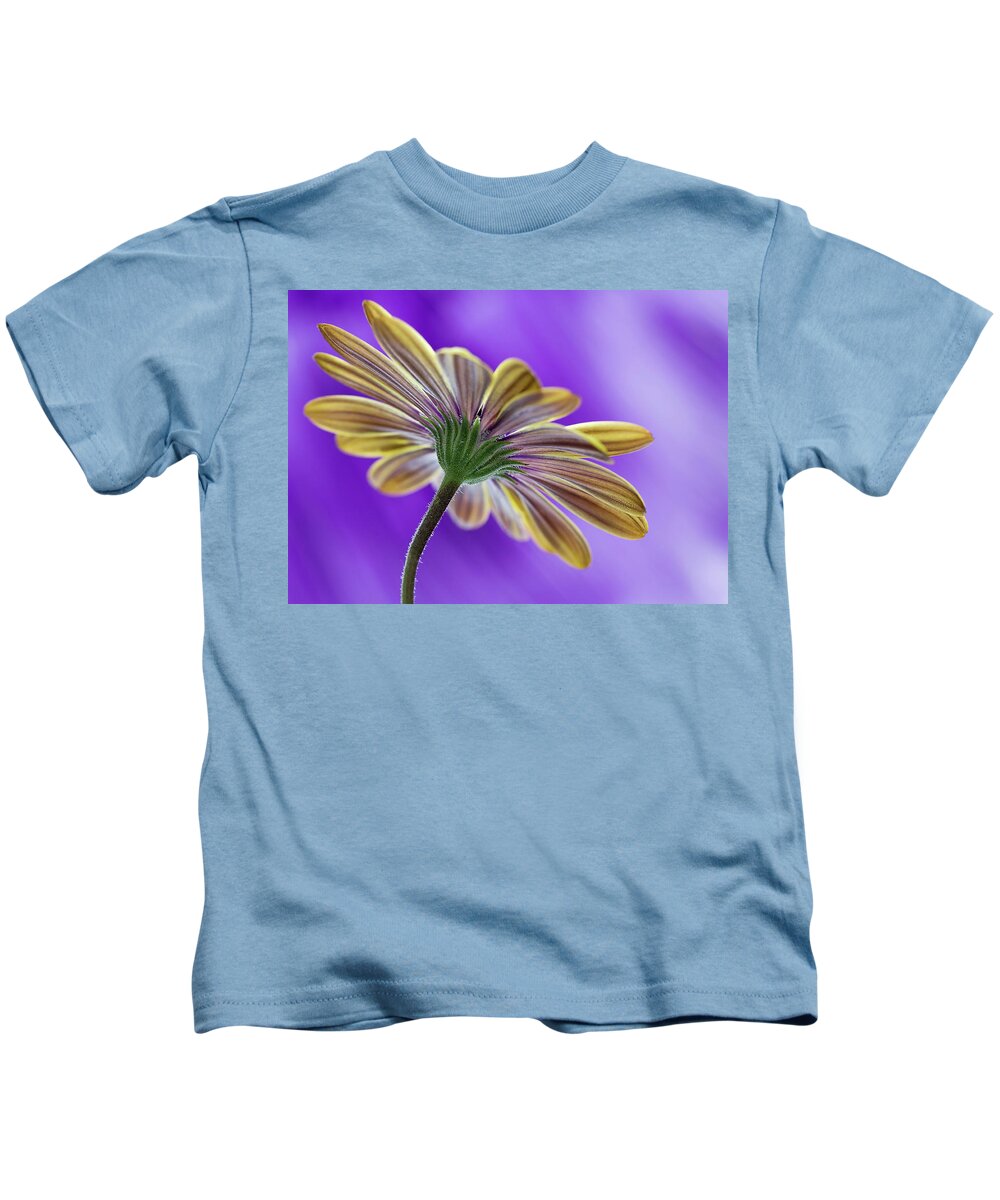 Bloom Kids T-Shirt featuring the photograph Cape Daisy by Shirley Mitchell