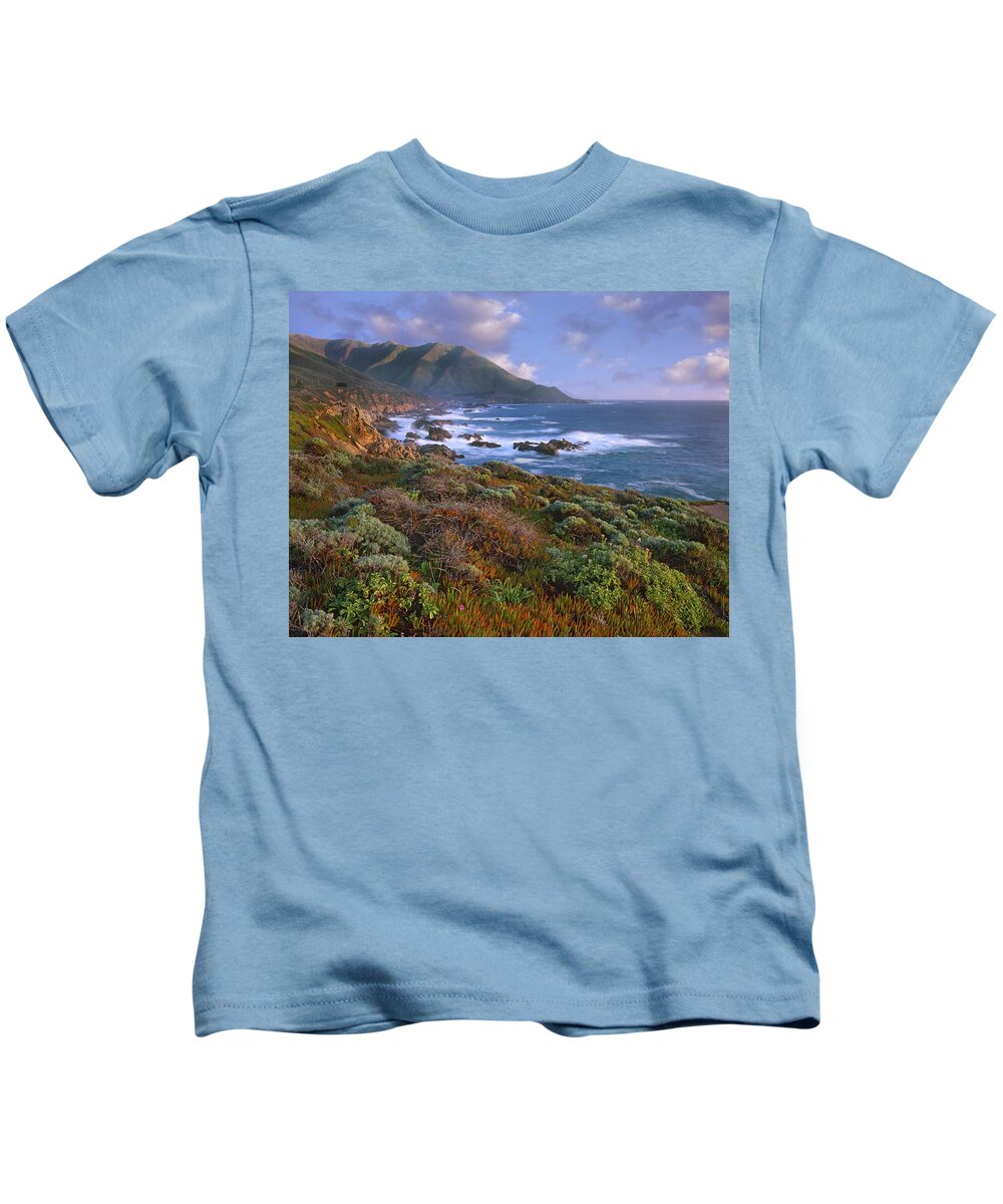 00176747 Kids T-Shirt featuring the photograph Cliffs And The Pacific Ocean Garrapata by Tim Fitzharris