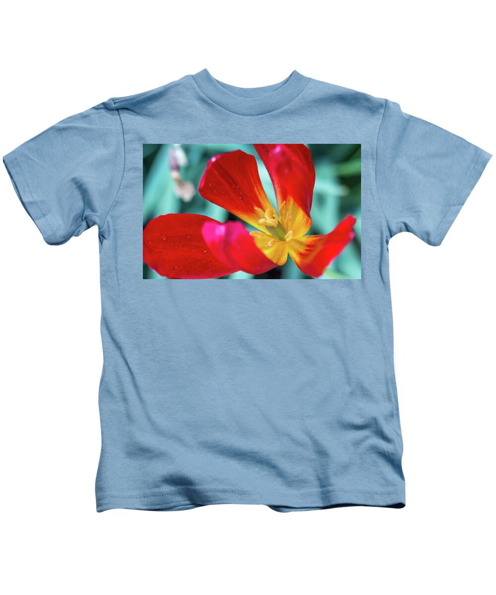 Flower Kids T-Shirt featuring the photograph Flaming Tulip by Susie Weaver