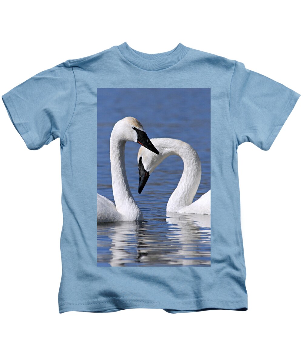 Trumpeter Swans Kids T-Shirt featuring the photograph Love by Larry Ricker