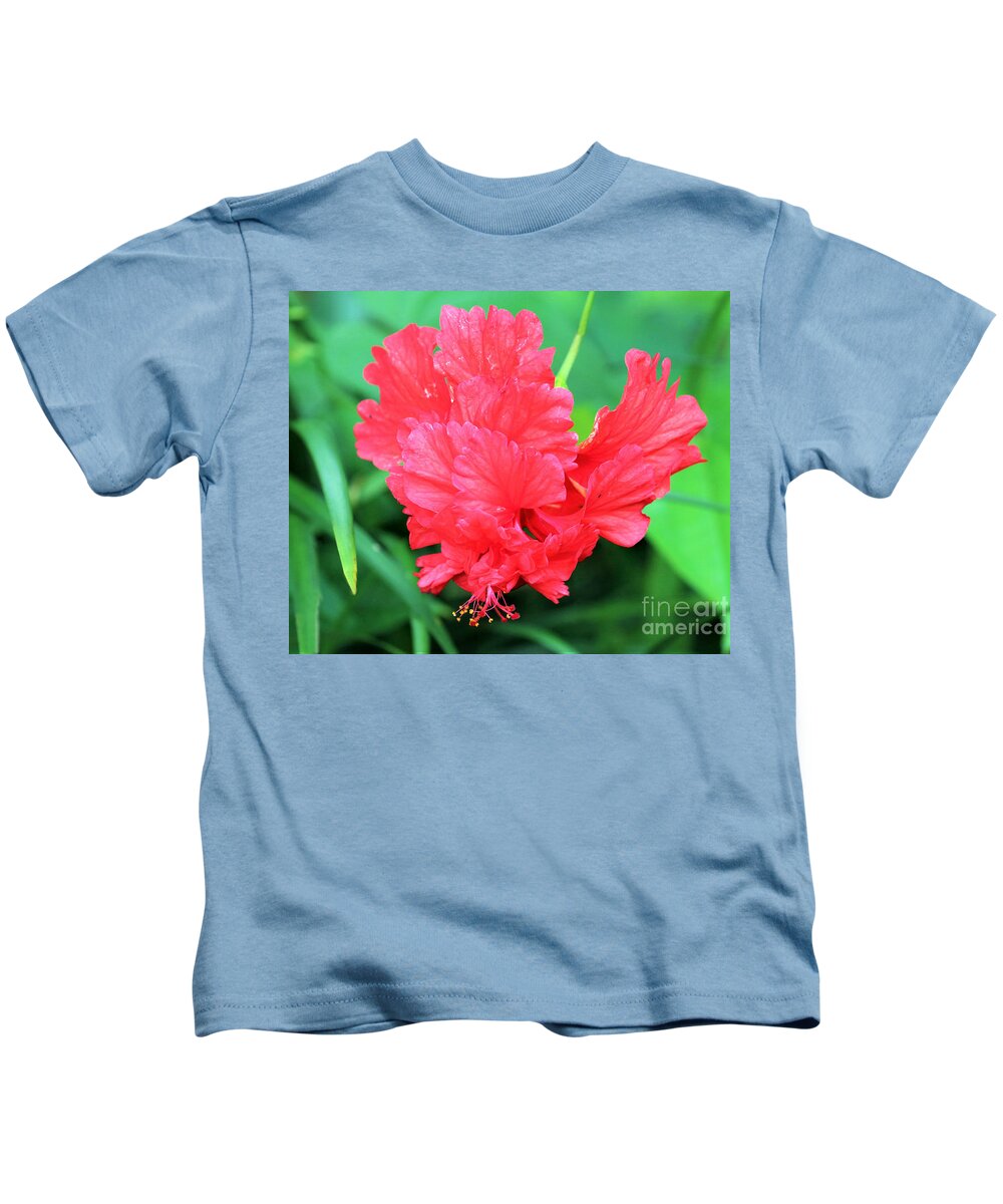 Multilayered Kids T-Shirt featuring the photograph Multi-layered Red Hibiscus by Diann Fisher