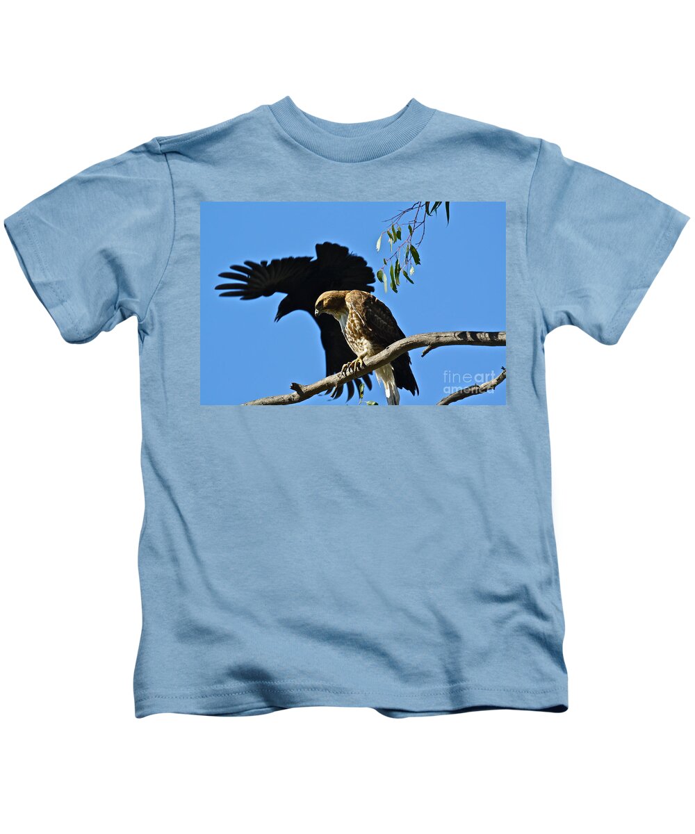Birds Kids T-Shirt featuring the photograph The Harasser by Diana Hatcher