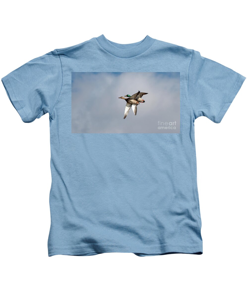 Mallard Ducks Kids T-Shirt featuring the photograph Acrobats by Sam Rino