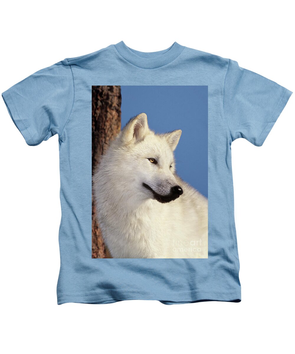 Arctic Wolf Kids T-Shirt featuring the photograph Arctic Wolf Portrait wildlife rescue by Dave Welling