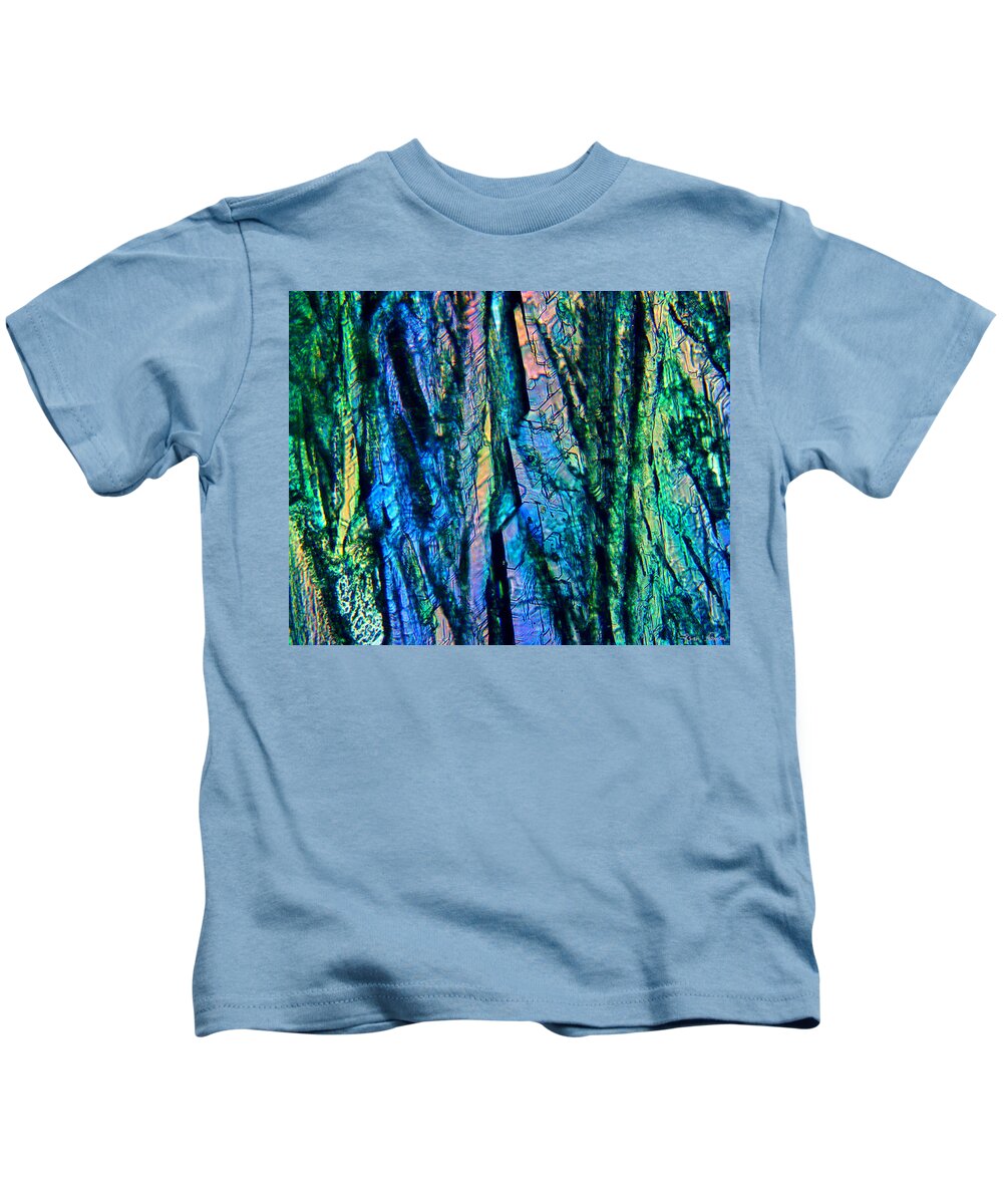  Kids T-Shirt featuring the photograph Fading Splendor by Rein Nomm