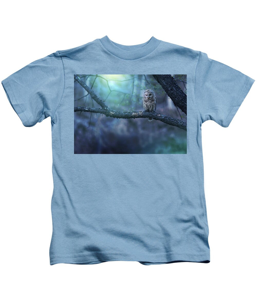 Owl Kids T-Shirt featuring the photograph Solitude - Landscape by Rob Blair