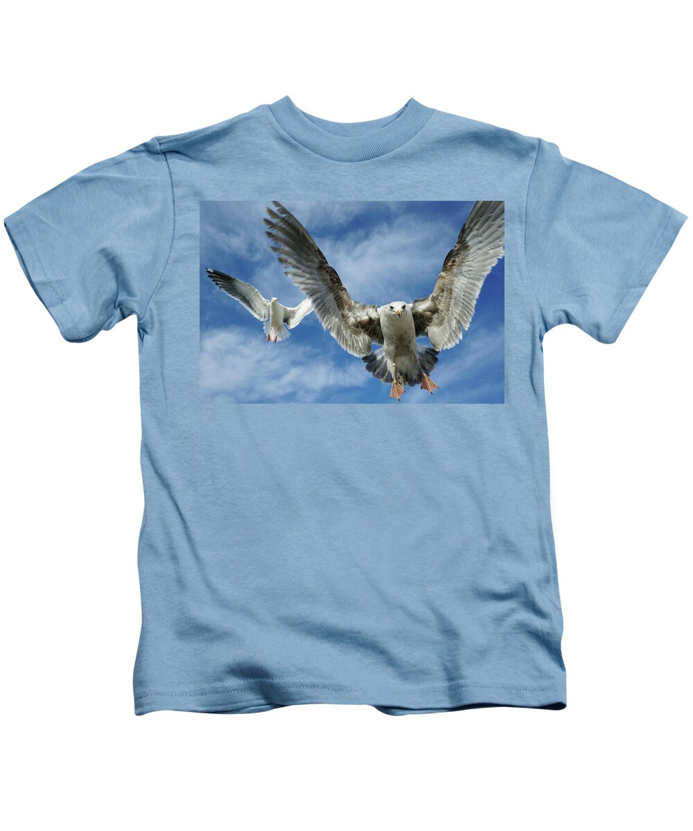 00558344 Kids T-Shirt featuring the photograph Western Gulls Flying Overhead by Hiroya Minakuchi