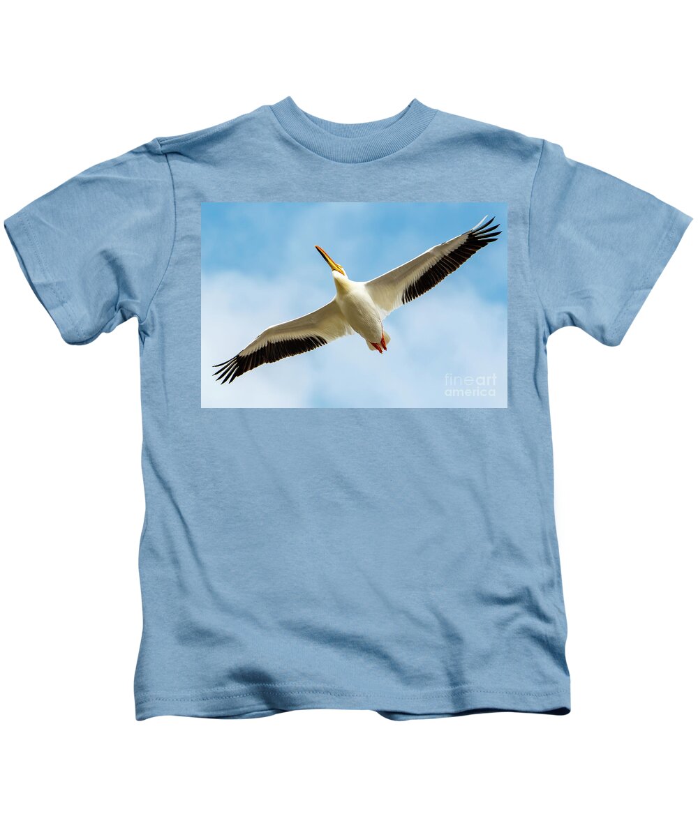 Wing Span Kids T-Shirt featuring the photograph Wing Span of Pelican #1 by Sandra J's