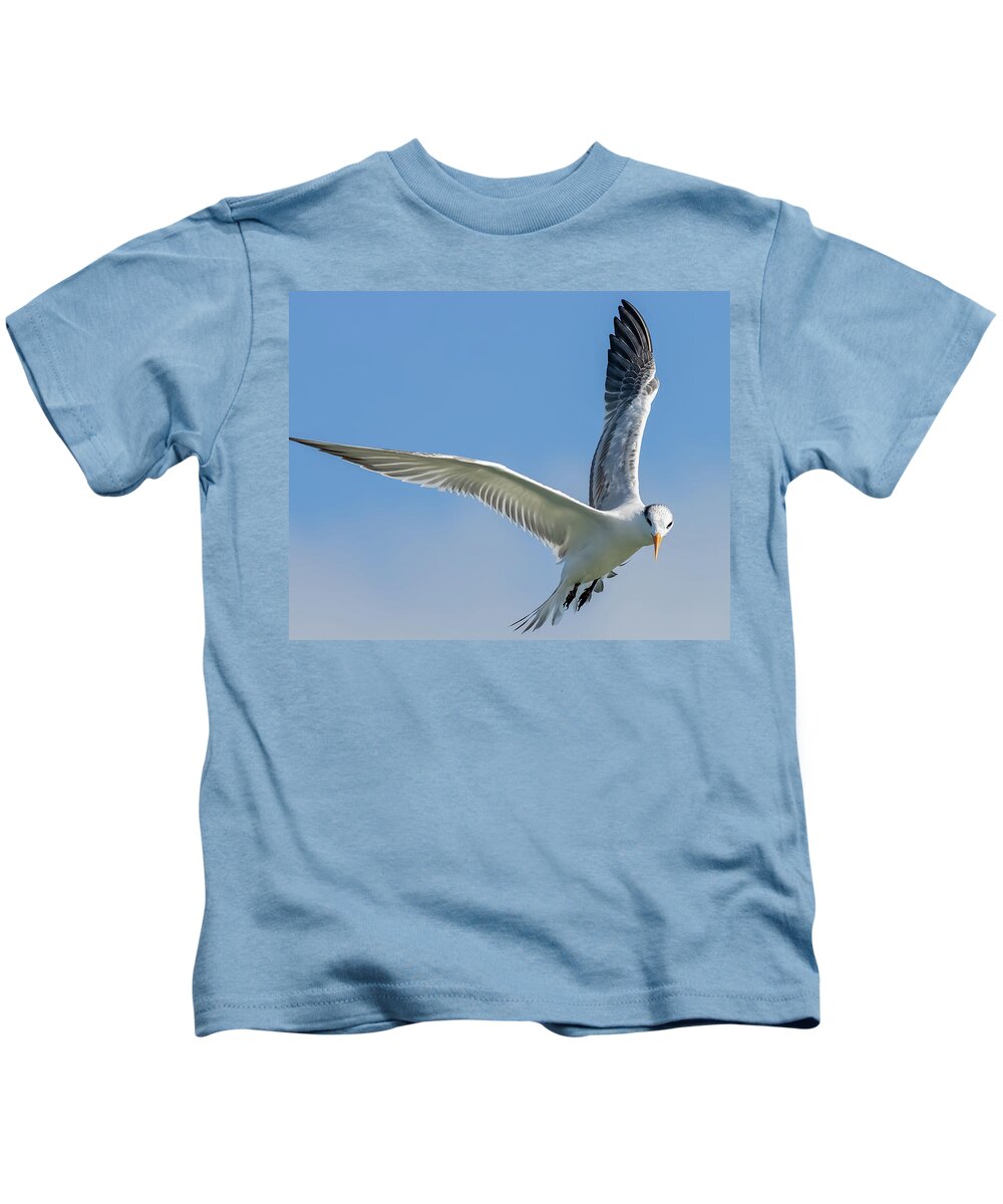 Royal Tern Kids T-Shirt featuring the photograph A Royal Pause by RD Allen