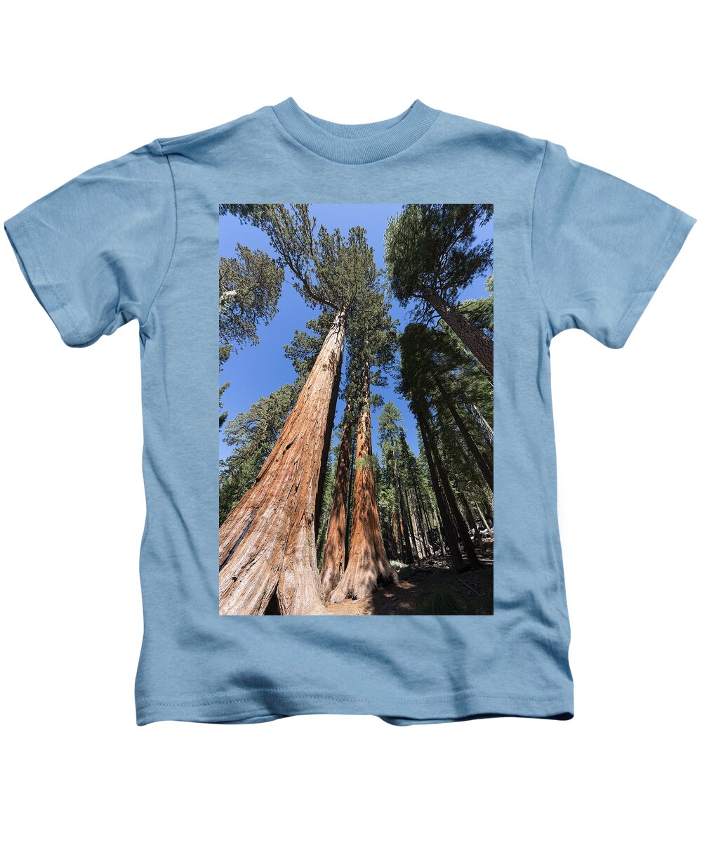 Yosemite Kids T-Shirt featuring the photograph Yosemite Sequoia by Paul Plaine