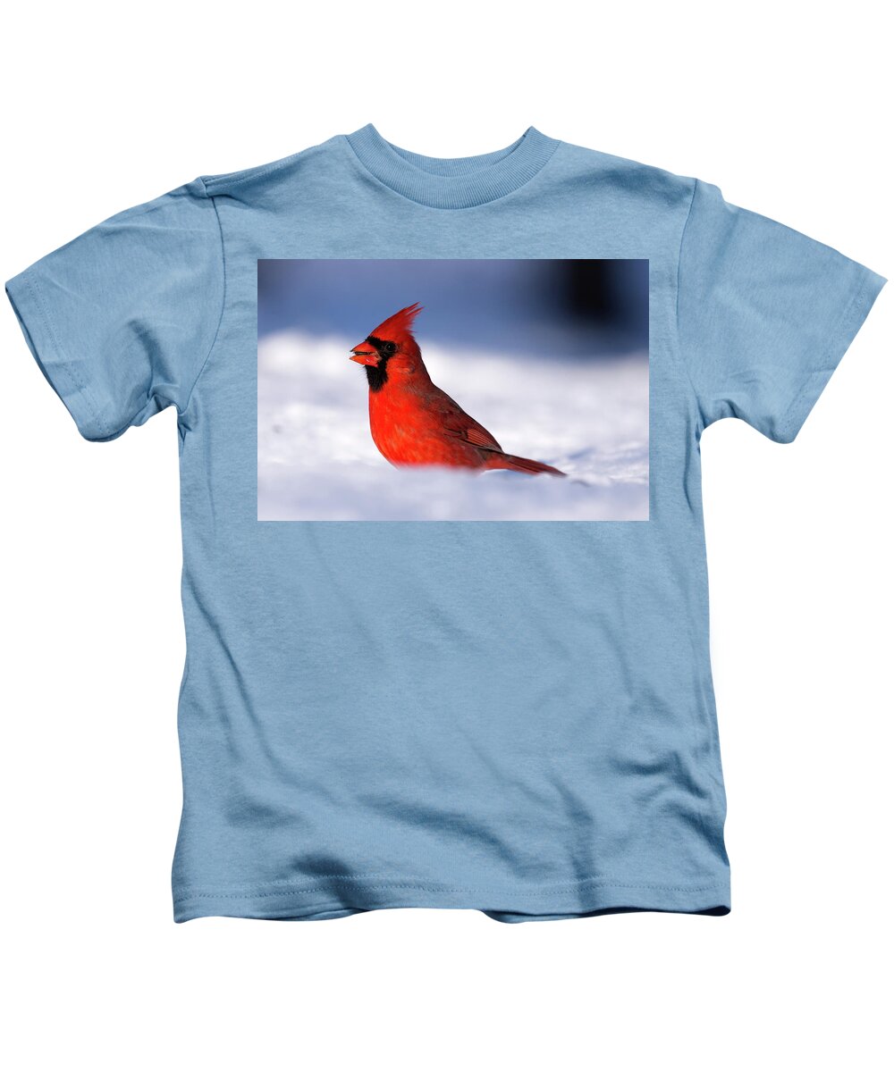 Cardinal Kids T-Shirt featuring the photograph Cardinal on the Snow by Flinn Hackett