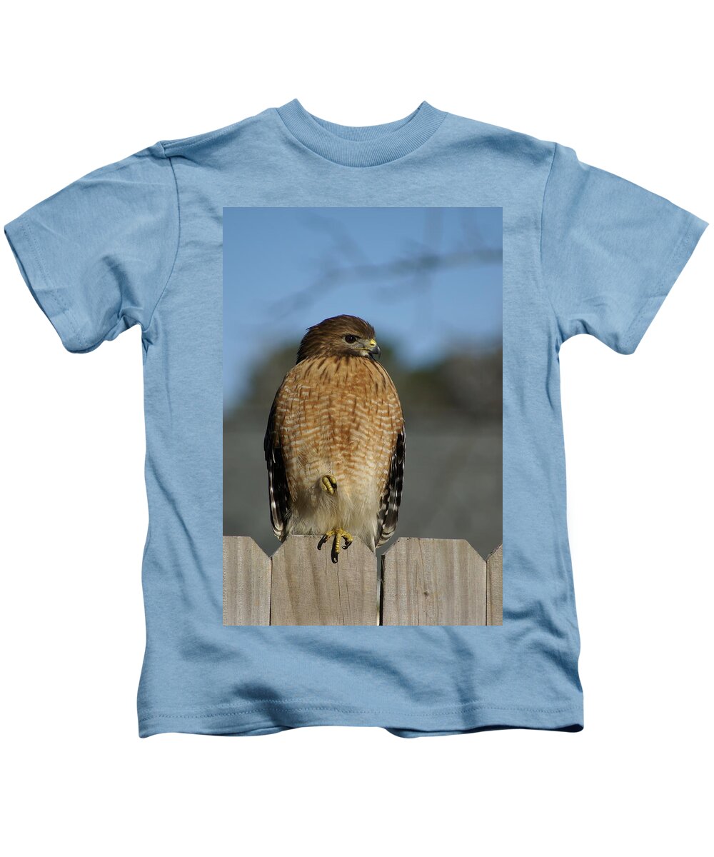  Kids T-Shirt featuring the photograph Chilling Hawk by Heather E Harman