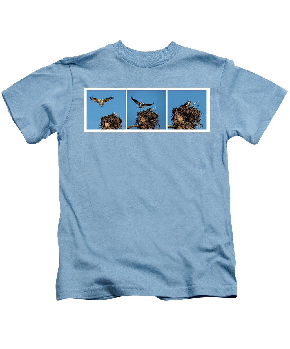 Nature Kids T-Shirt featuring the photograph Honey Do List Triptych by Mike Lee