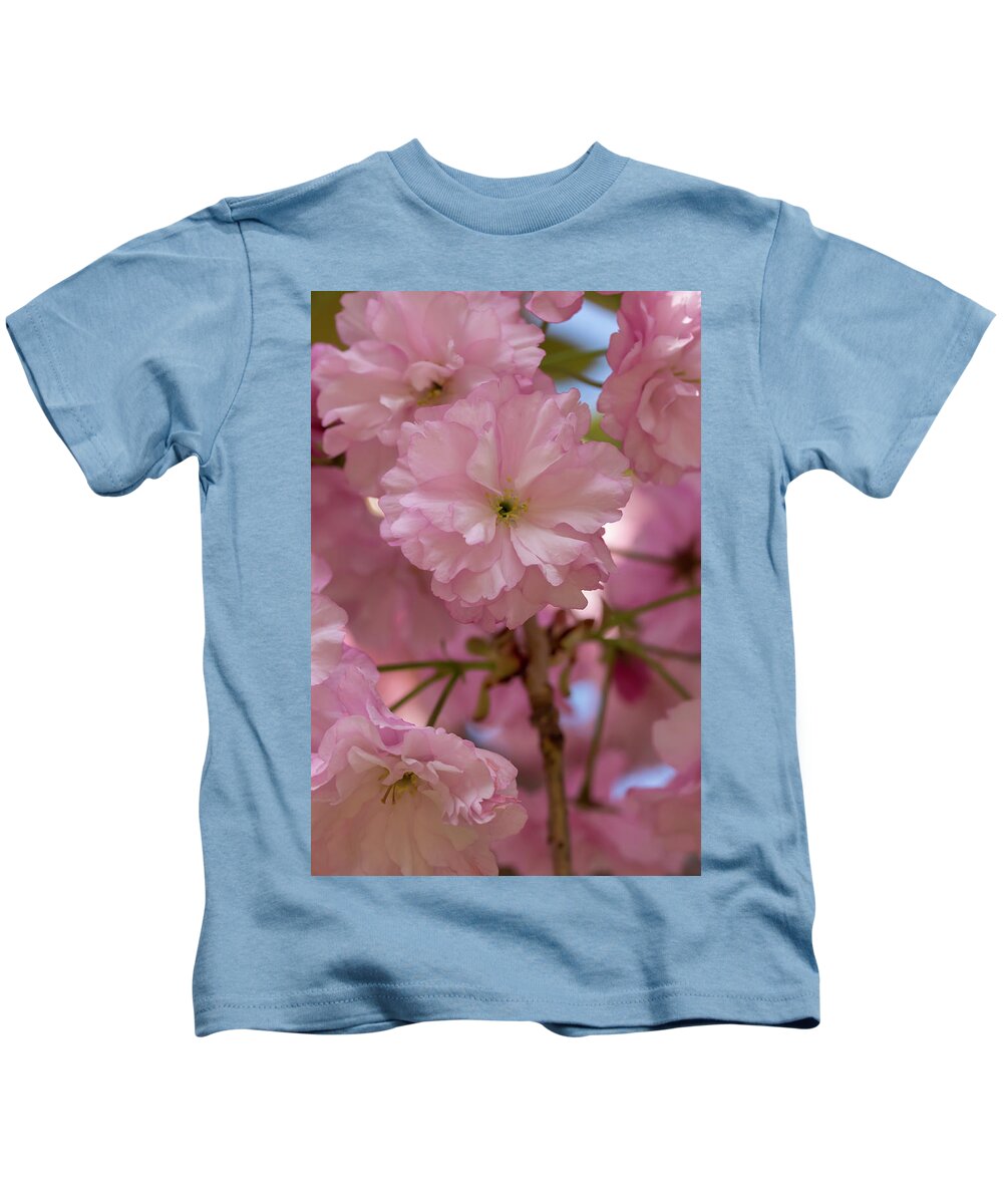 Flower Kids T-Shirt featuring the photograph Japanese Flowering Cherry 3 by Dawn Cavalieri