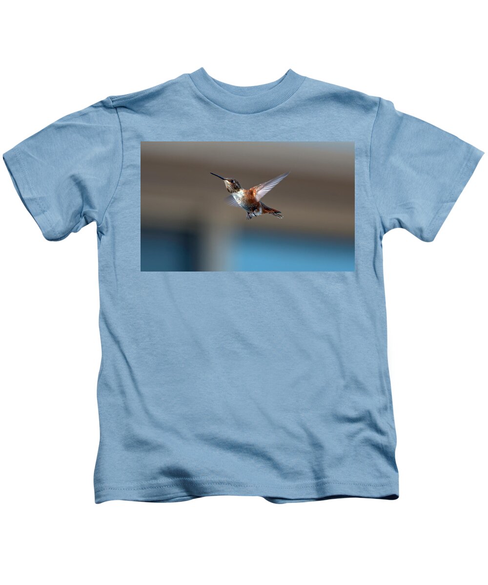 Hummingbird Kids T-Shirt featuring the photograph Rufus Hummingbird by Rick Mosher