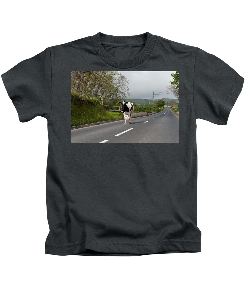 Agriculture Kids T-Shirt featuring the photograph Cow walks along country road #1 by Joseph Amaral