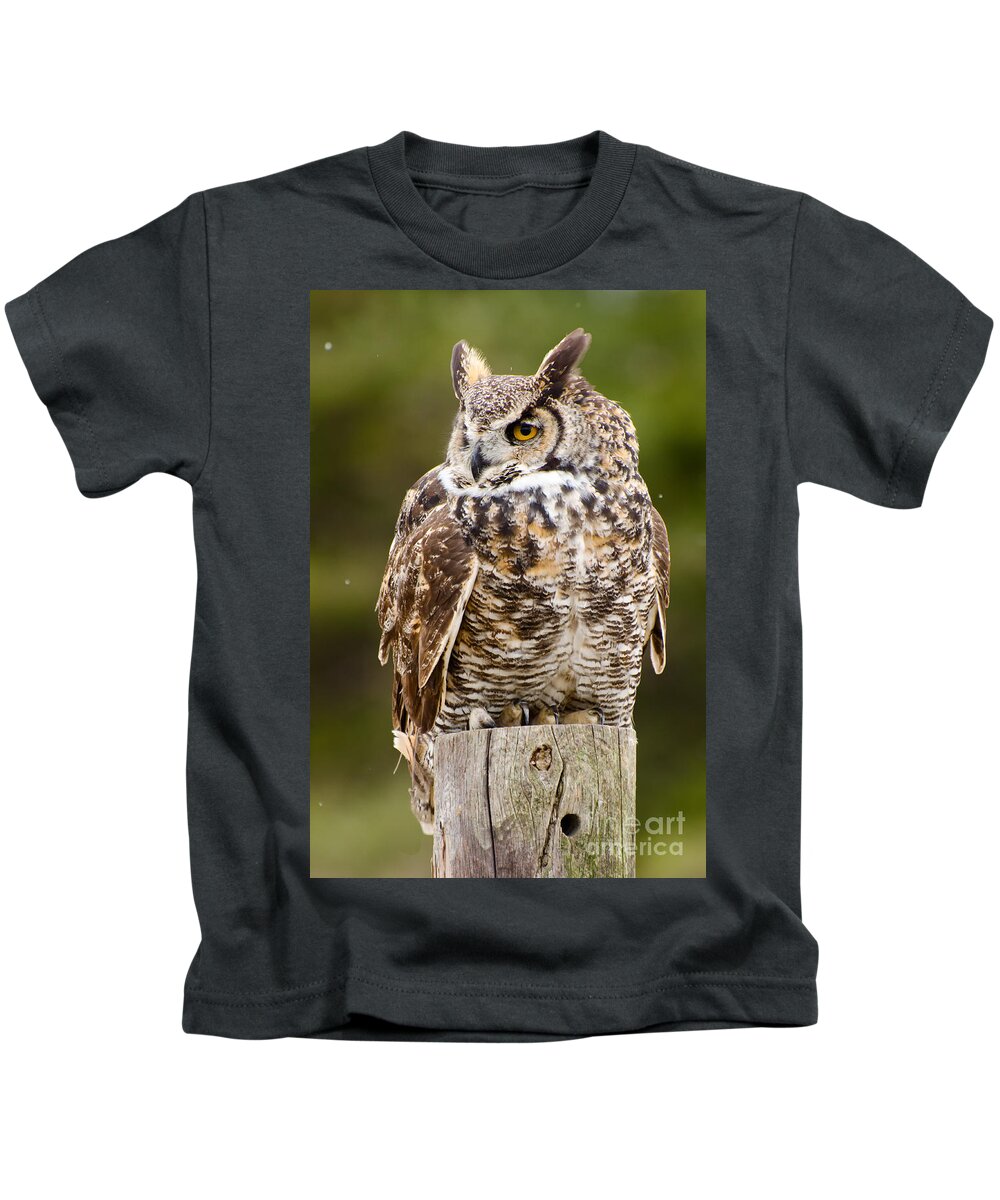 Great Kids T-Shirt featuring the photograph Siberian Eagle Owl by Les Palenik