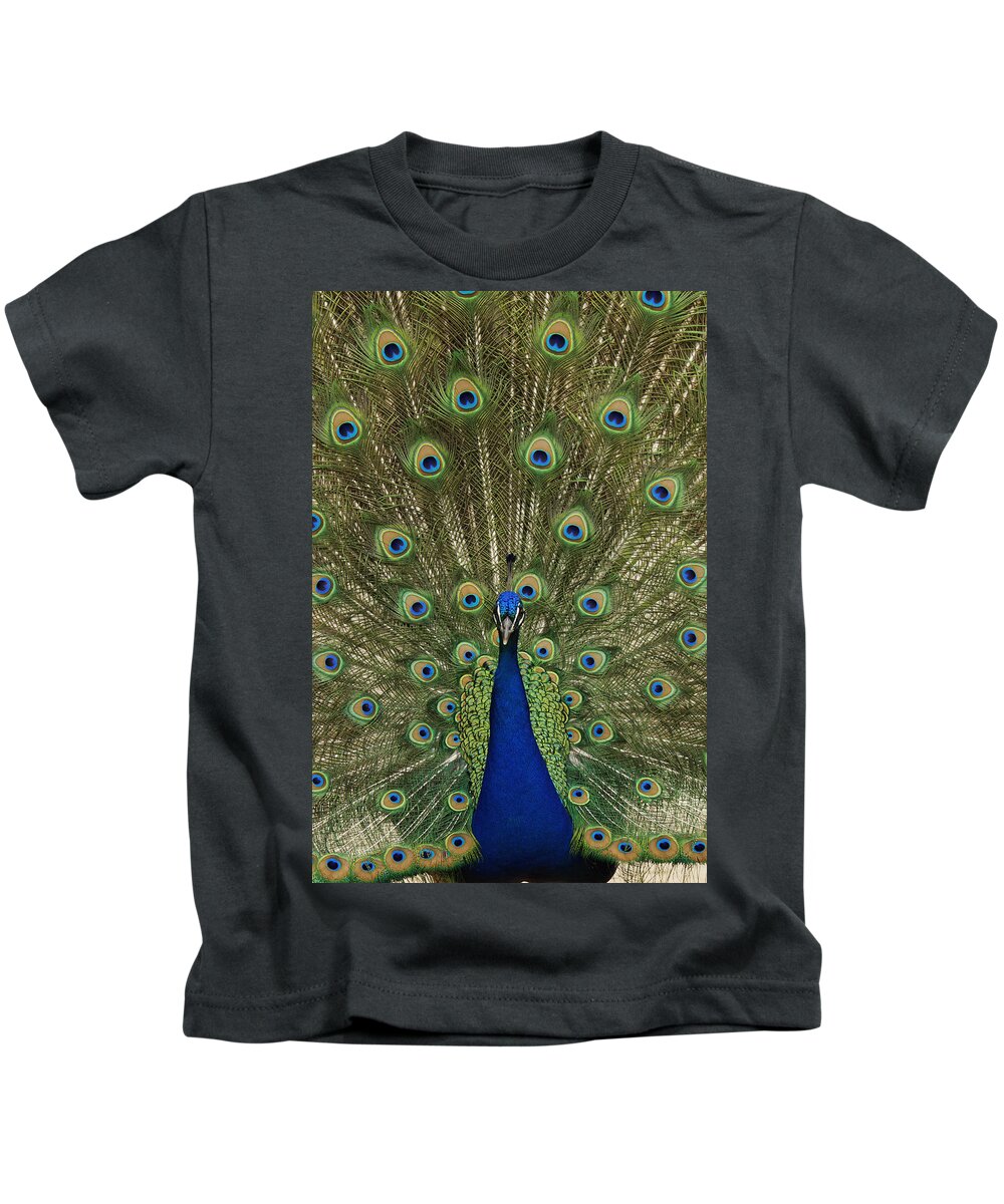 Feb0514 Kids T-Shirt featuring the photograph Indian Peafowl Male In Full Display #1 by Hiroya Minakuchi