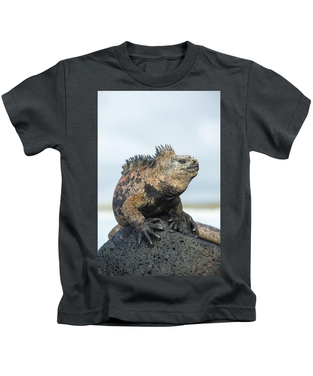 Tui De Roy Kids T-Shirt featuring the photograph Marine Iguana Male Turtle Bay Santa #1 by Tui De Roy