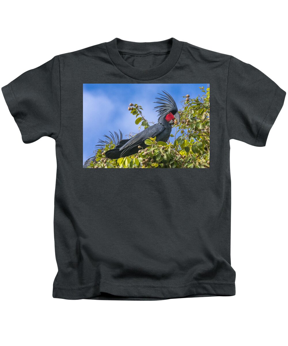 D. Parer E. Parer-cook Kids T-Shirt featuring the photograph Palm Cockatoo Male Feeding On Nonda #1 by D. Parer & E. Parer-Cook