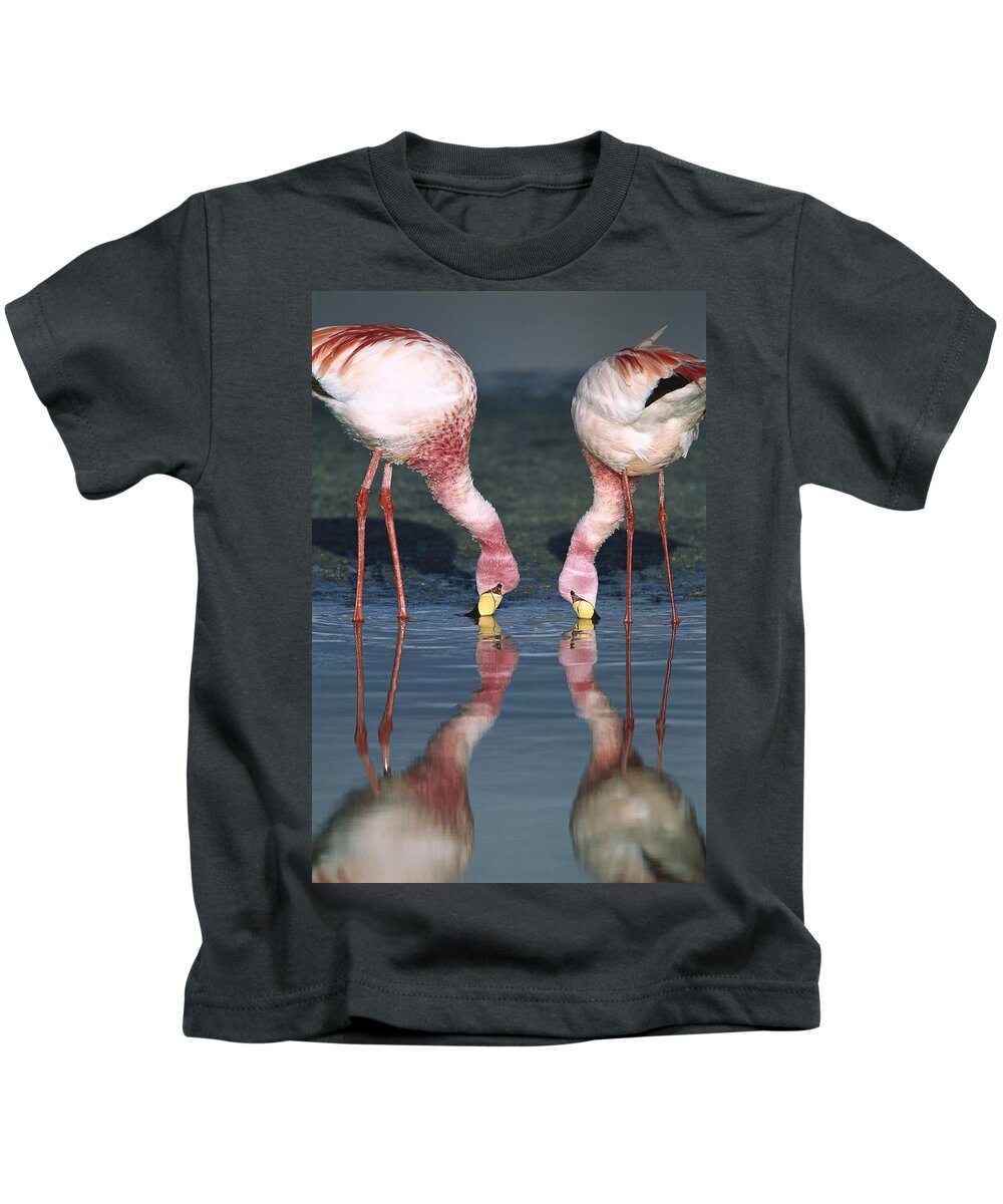 Feb0514 Kids T-Shirt featuring the photograph Puna Flamingo Feeding In Laguna #1 by Tui De Roy