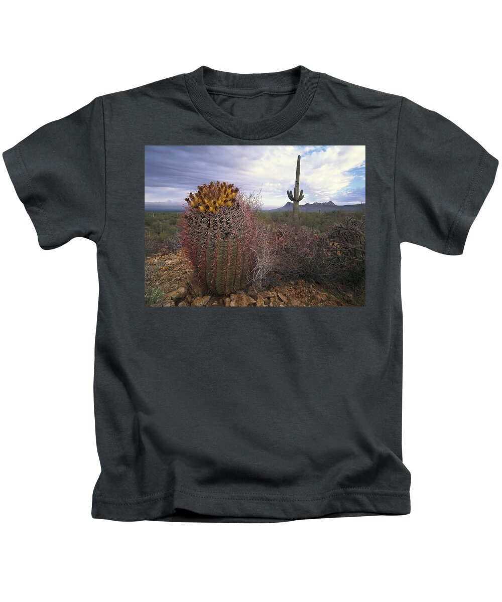 Feb0514 Kids T-Shirt featuring the photograph Saguaro And Giant Barrel Cactus #1 by Tim Fitzharris