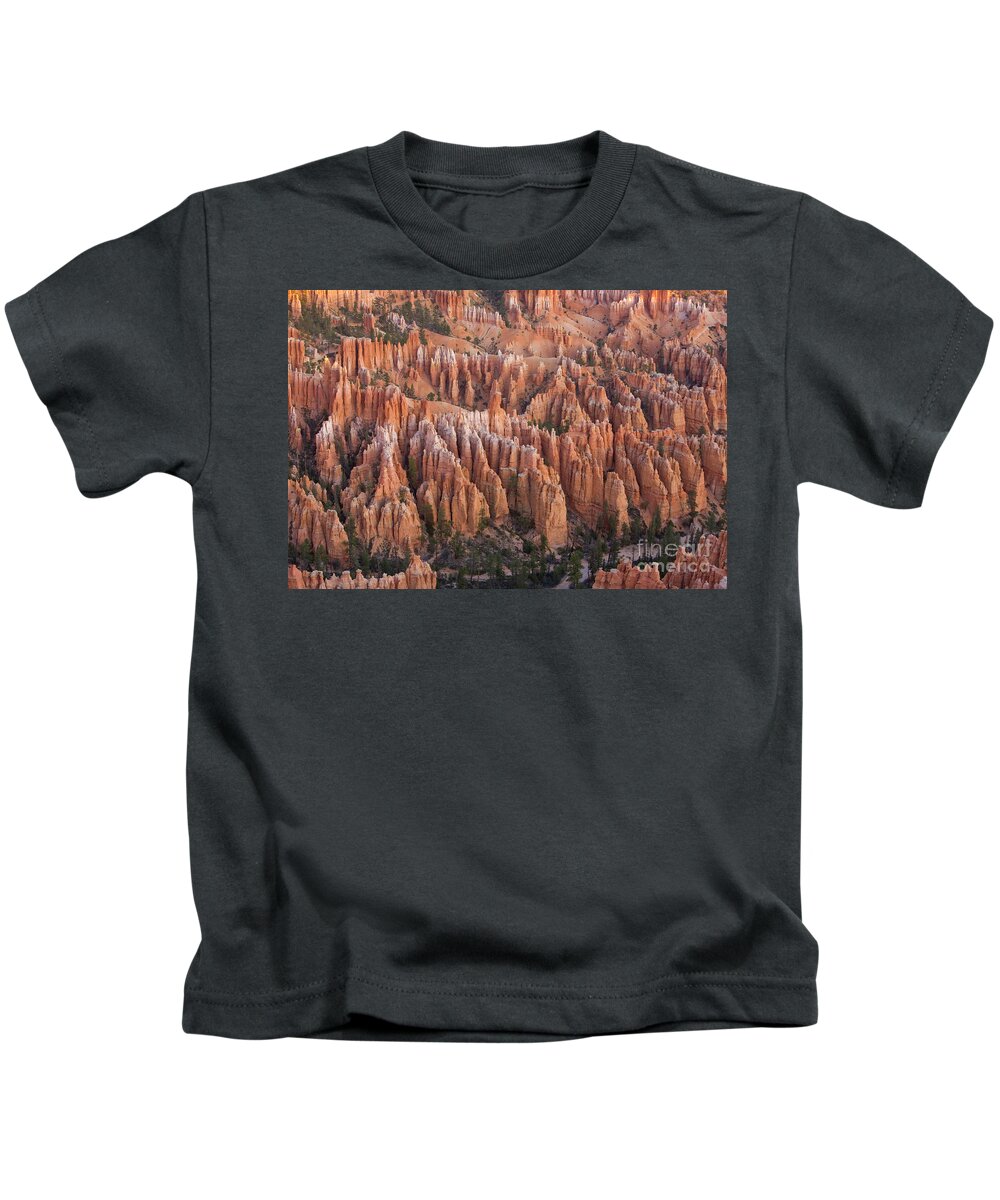 00431146 Kids T-Shirt featuring the photograph Sandstone Hoodoos in Bryce Canyon by Yva Momatiuk and John Eastcott