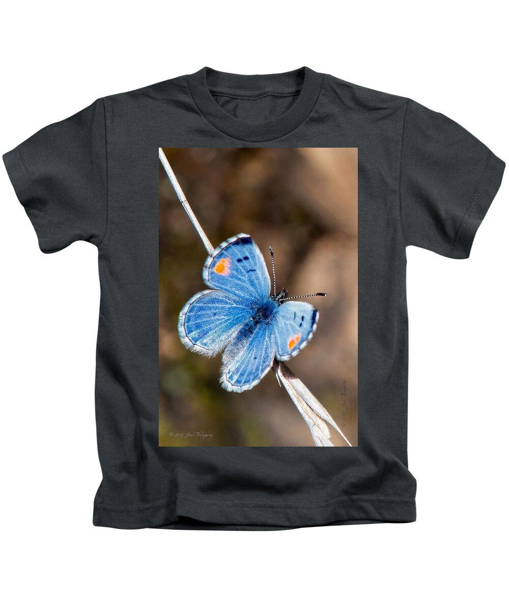 Insects Kids T-Shirt featuring the photograph Sonoran Blue #1 by Jim Thompson