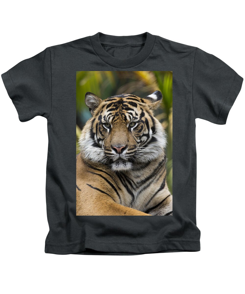 San Diego Zoo Kids T-Shirt featuring the photograph Sumatran Tiger #1 by San Diego Zoo