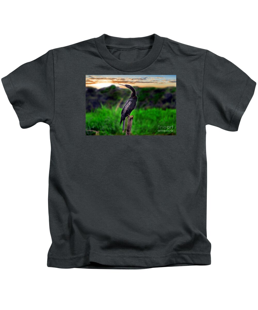 Anhinga Kids T-Shirt featuring the photograph Water Turkey by Gary Keesler