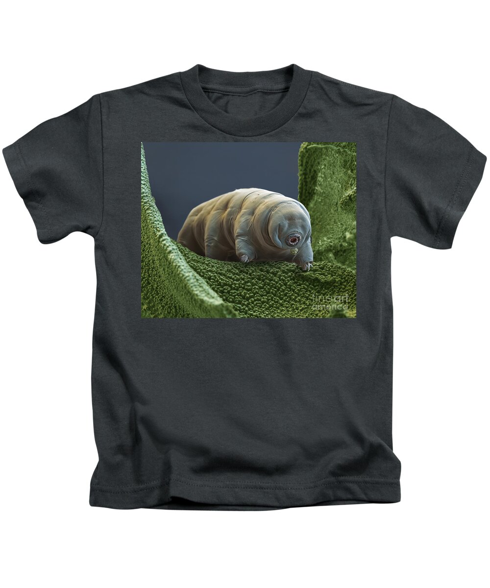 Paramacrobiotus Tonolli Kids T-Shirt featuring the photograph Water Bear by Eye of Science and Science Source