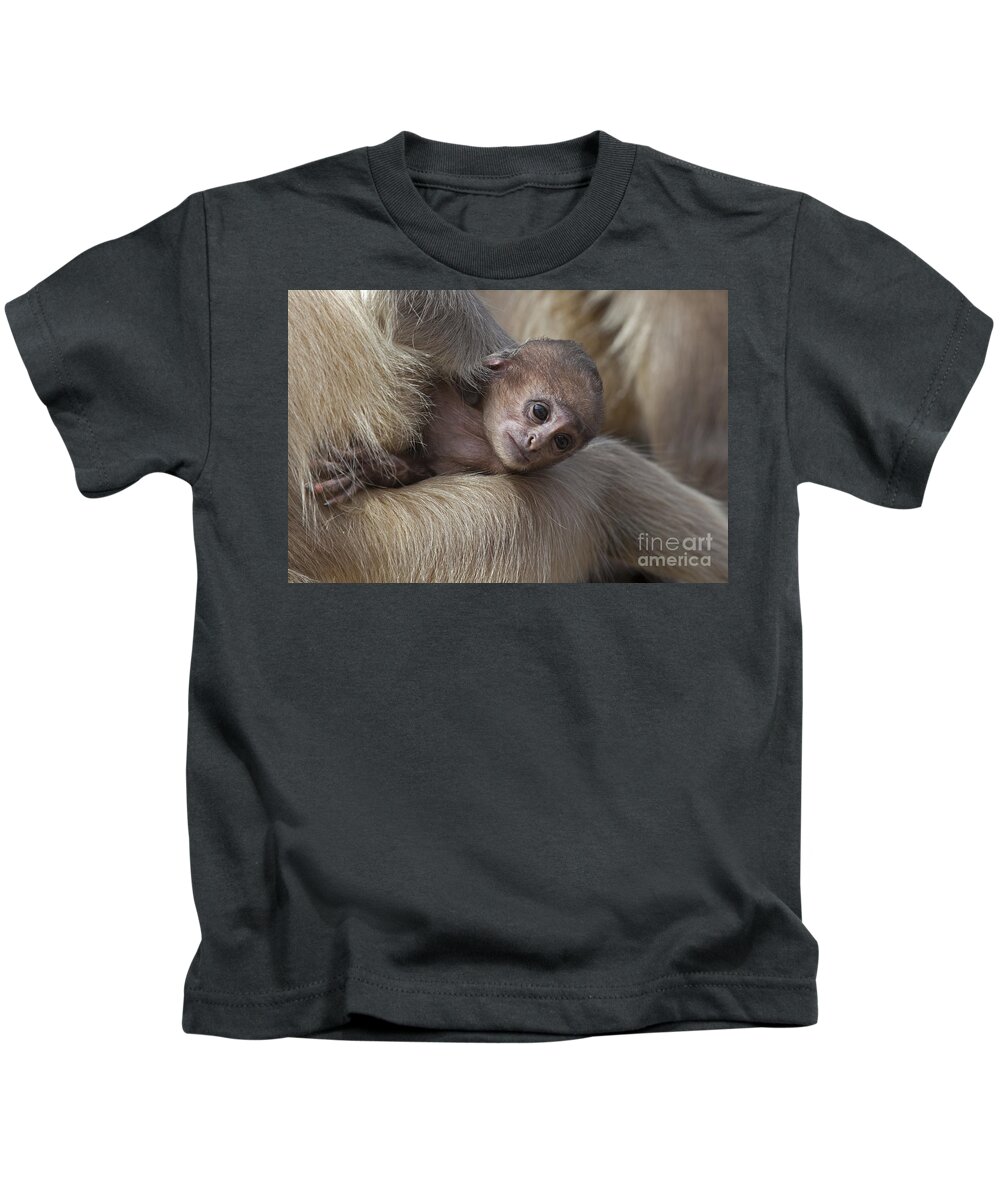 Gray Langur Kids T-Shirt featuring the photograph 120820p269 by Arterra Picture Library