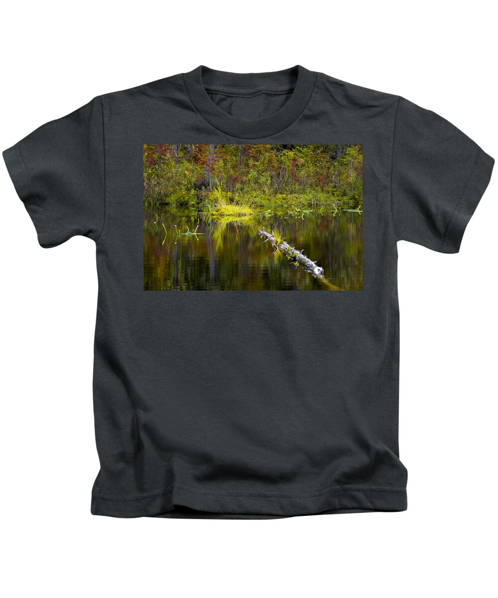 Priest Lake Kids T-Shirt featuring the photograph 131005B-052 Forest Marsh 2 by Albert Seger