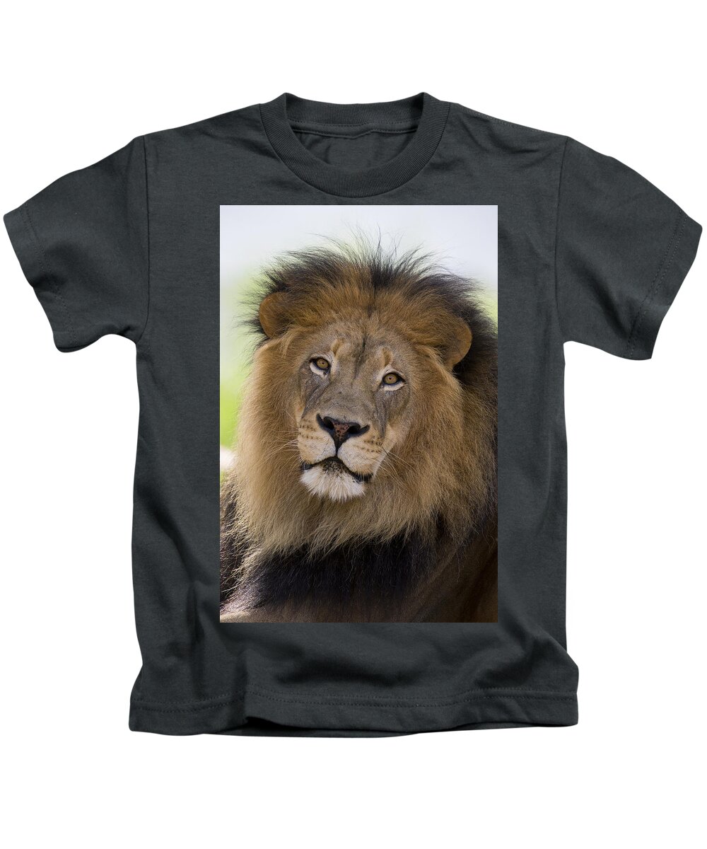 San Diego Zoo Kids T-Shirt featuring the photograph African Lion Male #2 by San Diego Zoo