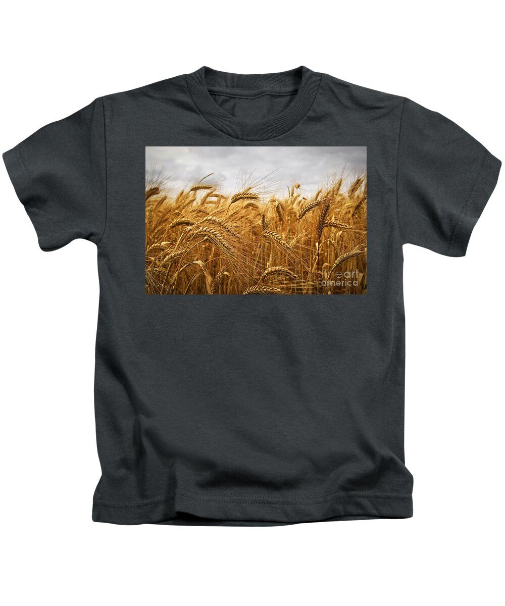 Wheat Kids T-Shirt featuring the photograph Wheat by Elena Elisseeva