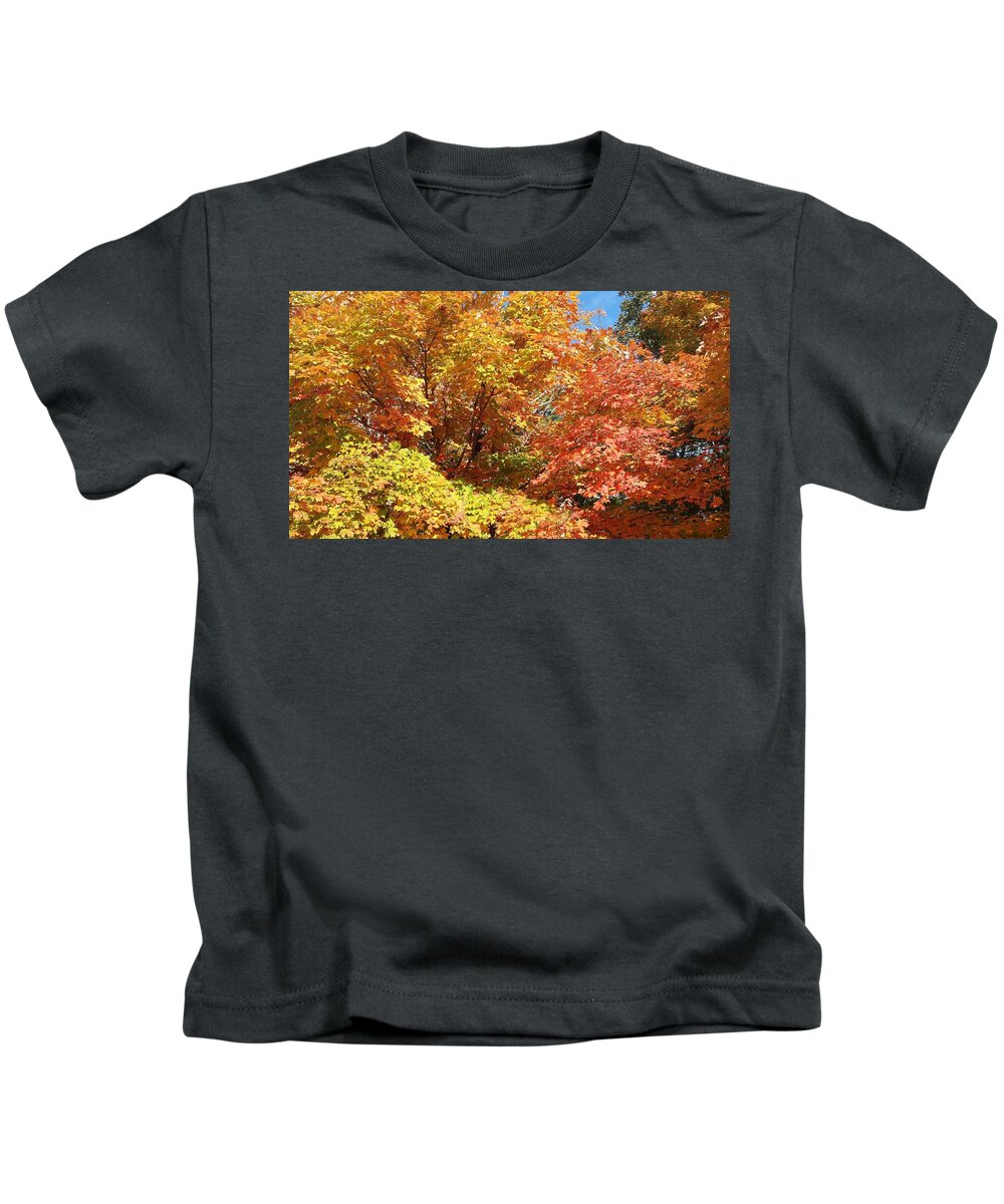 Fall Kids T-Shirt featuring the photograph Fall Explosion of Color #22 by Kenny Glover
