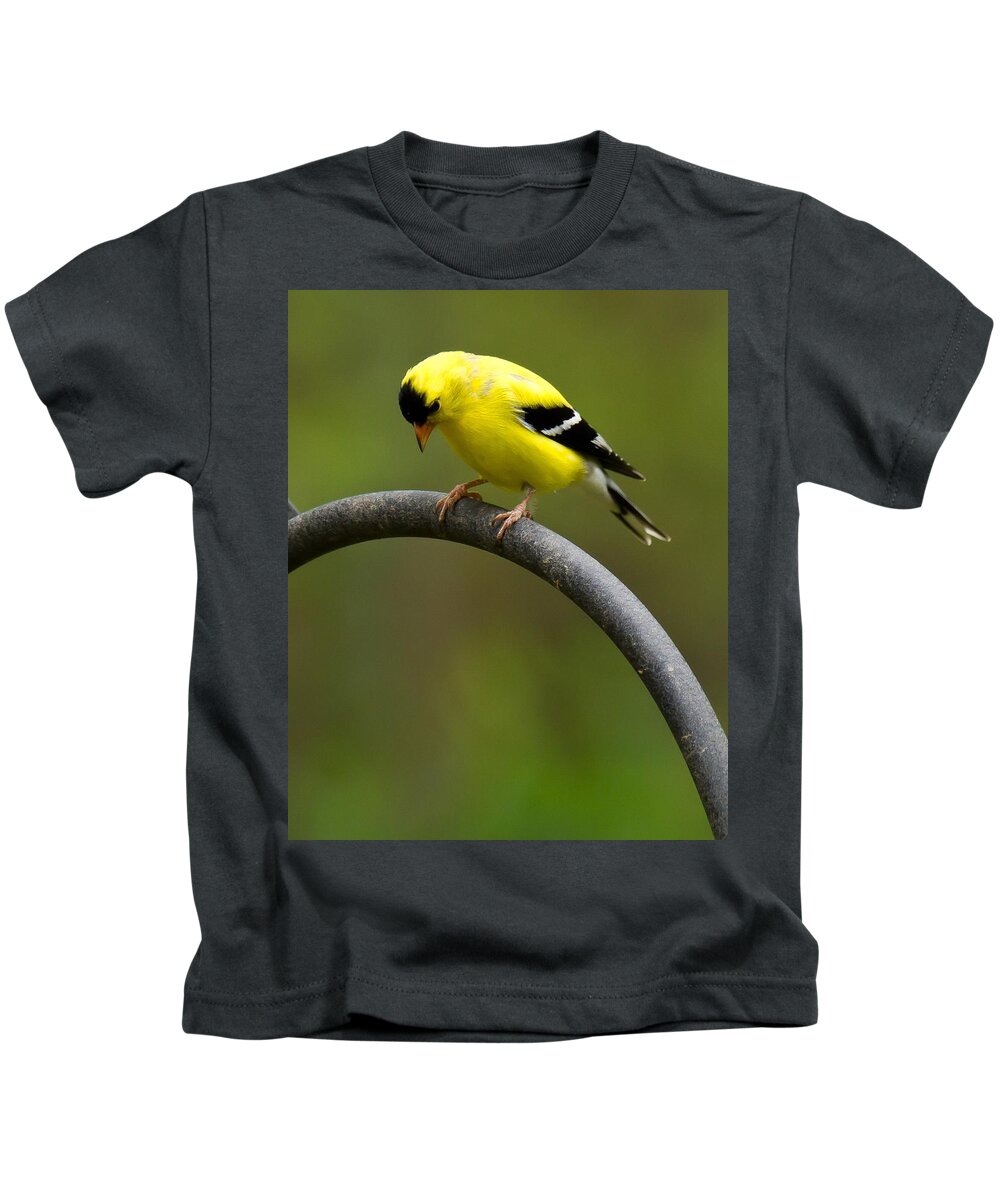 Goldfinch Kids T-Shirt featuring the photograph American Goldfinch #3 by Robert L Jackson