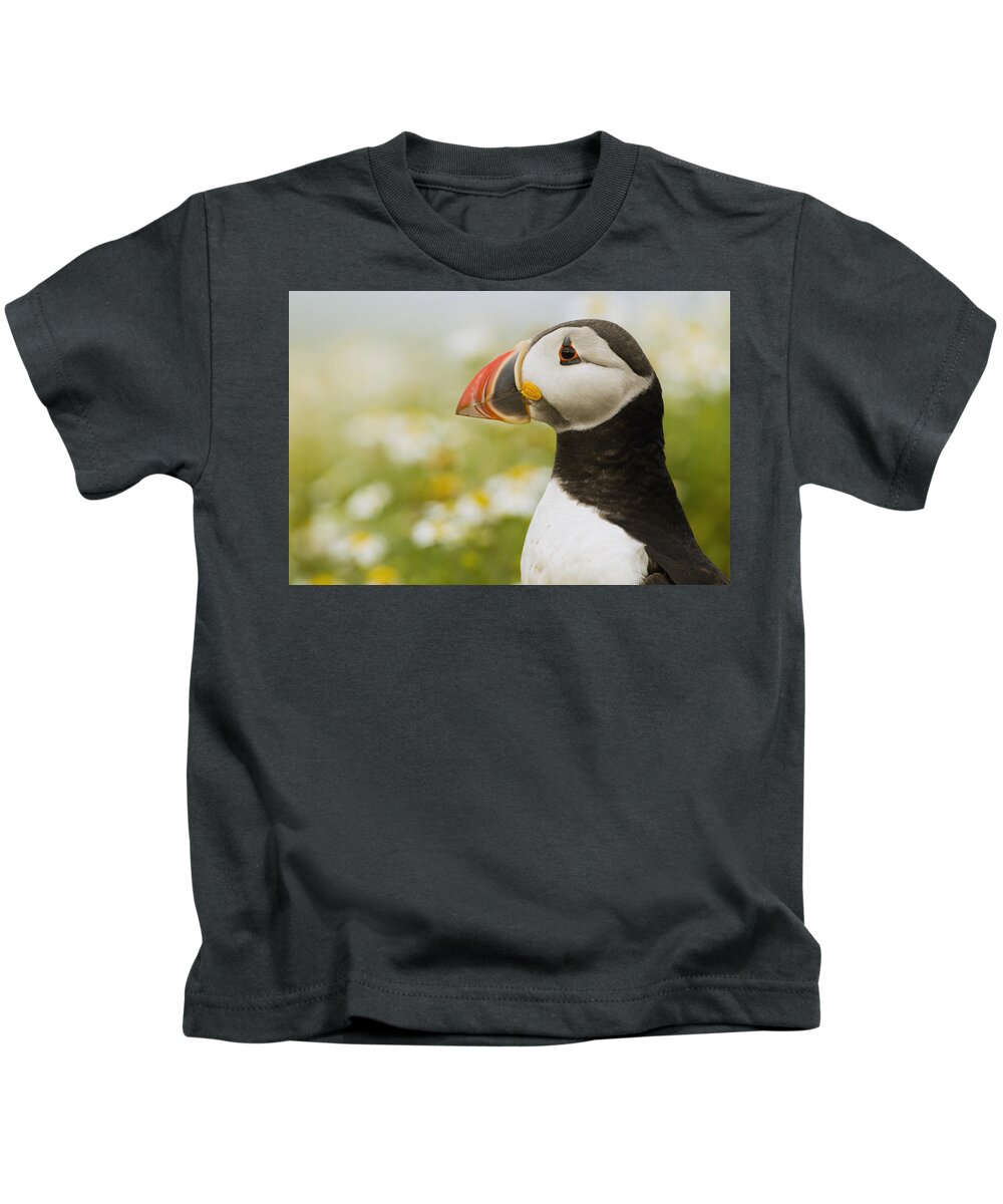 Sebastian Kennerknecht Kids T-Shirt featuring the photograph Atlantic Puffin In Breeding Plumage #3 by Sebastian Kennerknecht