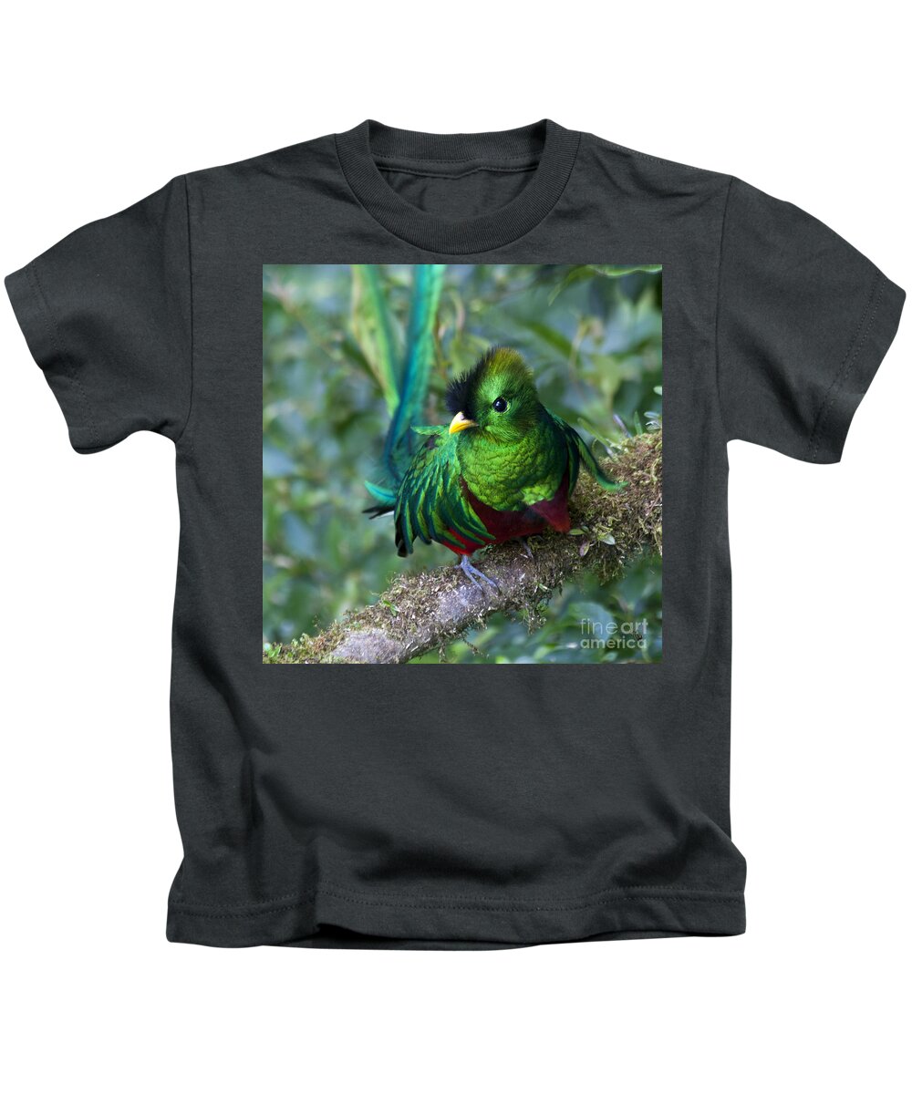 Bird Kids T-Shirt featuring the photograph Quetzal #2 by Heiko Koehrer-Wagner
