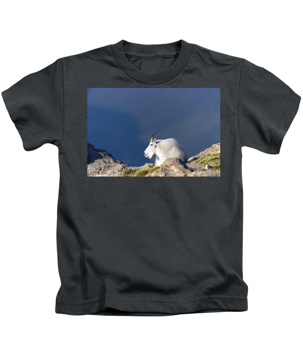 Rocky Kids T-Shirt featuring the photograph Rocky Mountain Goat #3 by Gary Langley