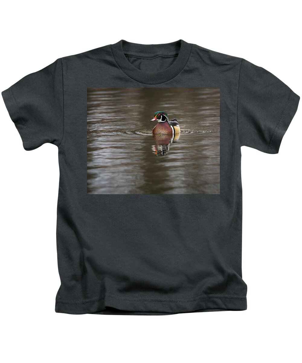 Animal Kids T-Shirt featuring the photograph Wood Duck #1 by Jack R Perry