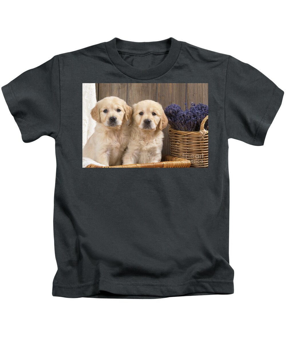 Golden Retriever Kids T-Shirt featuring the photograph Golden Retriever Puppies #4 by John Daniels