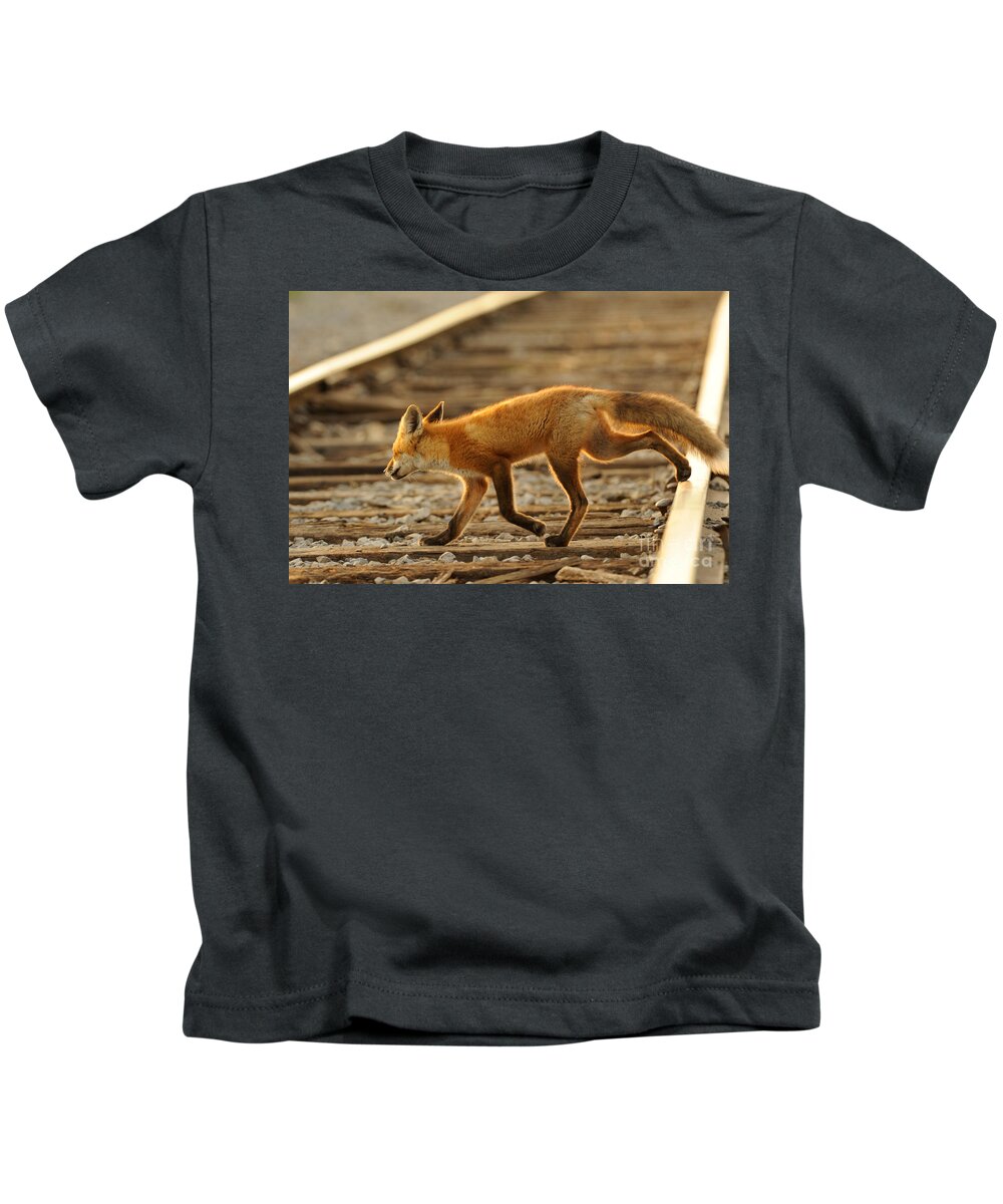 Red Fox Kids T-Shirt featuring the photograph Red Fox #4 by Scott Linstead