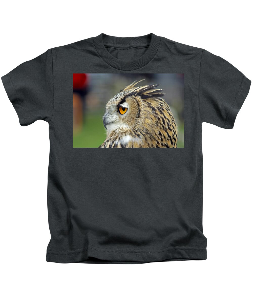 Eurasian Eagle Owl Kids T-Shirt featuring the photograph European Eagle Owl #5 by Tony Murtagh