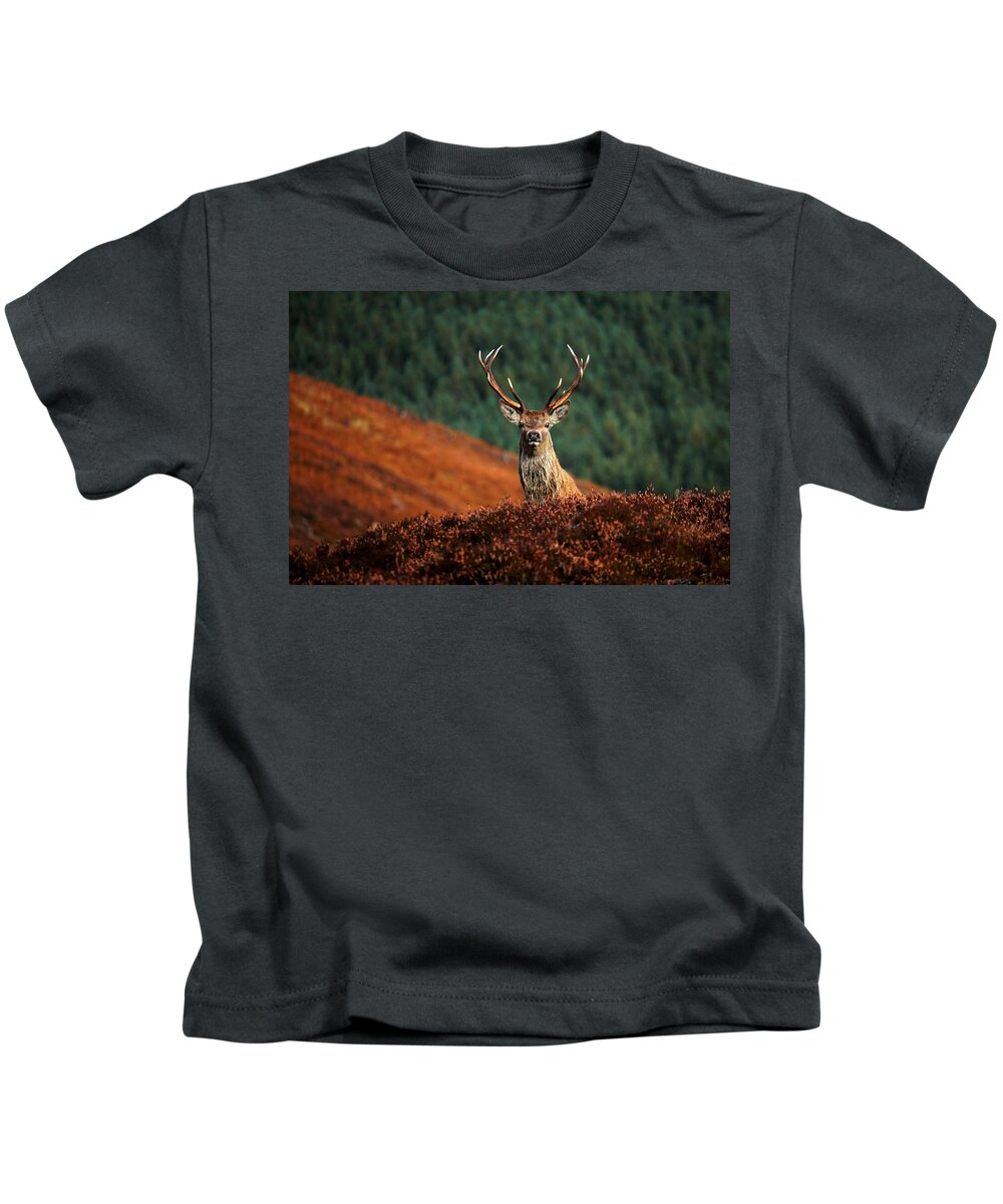 Red Deer Stag Kids T-Shirt featuring the photograph Red Deer Stag #6 by Gavin Macrae