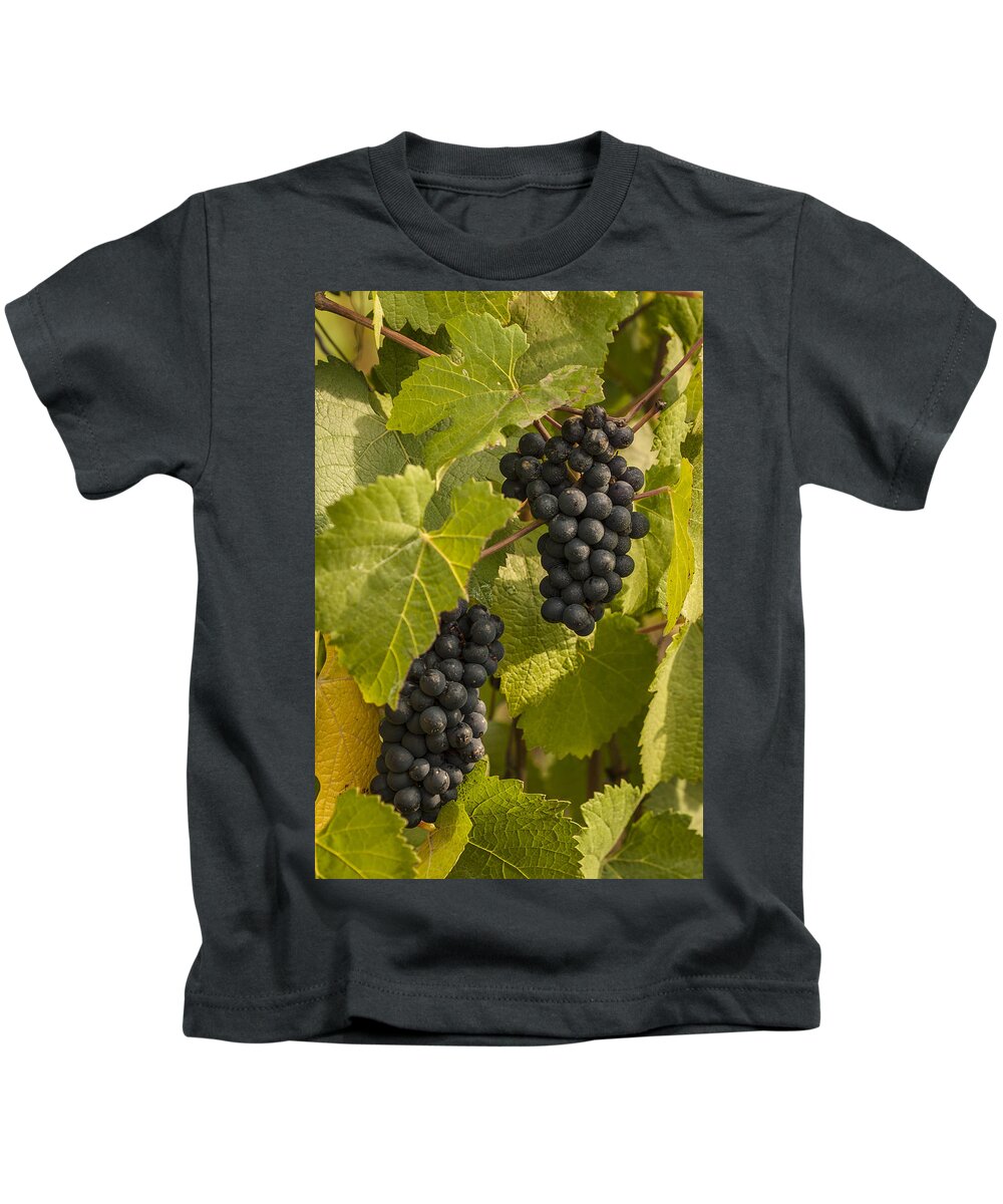 Crop Kids T-Shirt featuring the photograph A Pair of Clusters by Jean Noren