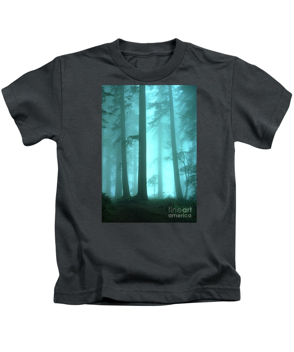 Redwoods Kids T-Shirt featuring the photograph A Place Of Awe by Bob Christopher