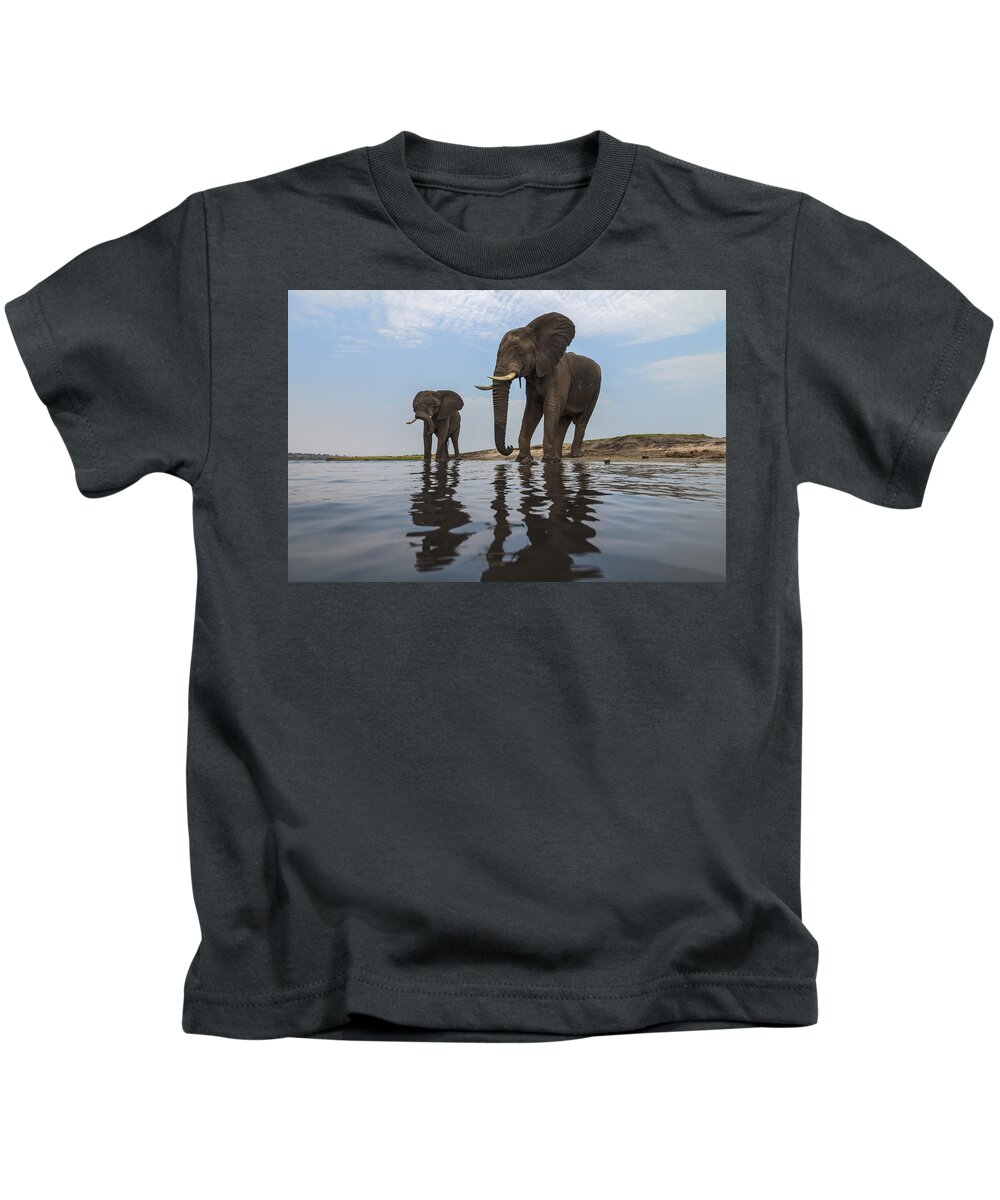 Vincent Grafhorst Kids T-Shirt featuring the photograph African Elephant Bulls Along Chobe by Vincent Grafhorst