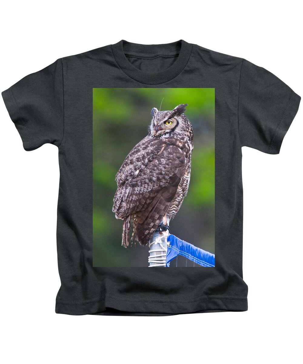 Wildlife Kids T-Shirt featuring the digital art Alaskan Owl by National Park Service