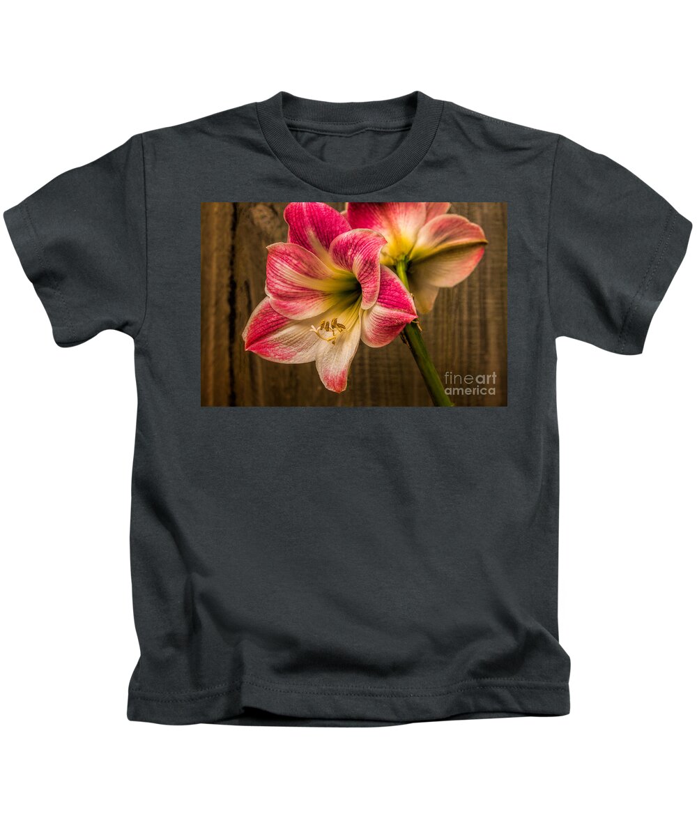 Art Prints Kids T-Shirt featuring the photograph Amaryllis Blooms by Dave Bosse